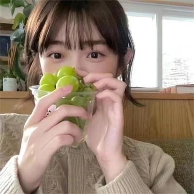 虎尾兰之梦